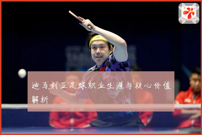 迪马利亚足球职业生涯与核心价值解析