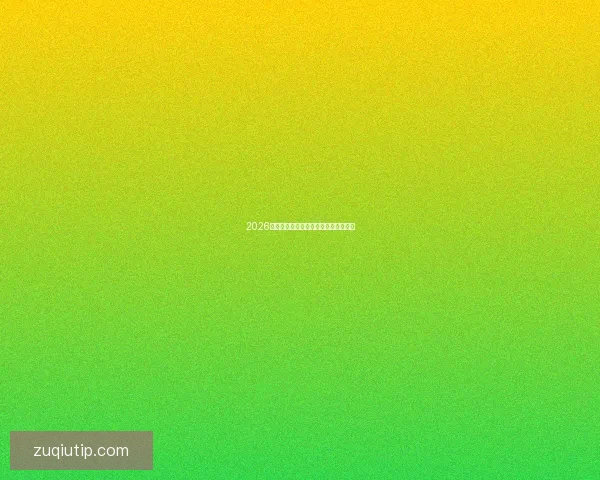 2026世界杯精彩赛事回顾与夺冠之路全解析