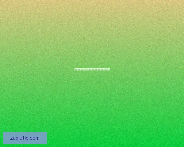 世界杯官方竞猜平台免费下载尽享赛事精彩互动体验