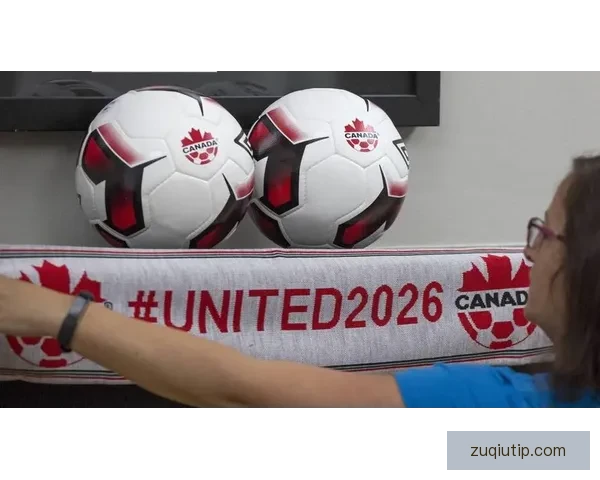 美加墨世界杯投注全攻略解析及实用技巧分享